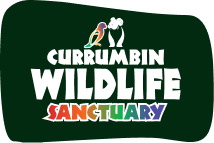 Currumbin Wildlife Sanctuary Logo