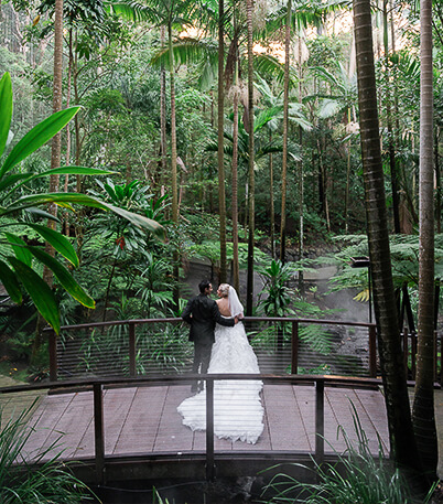Couple in wedding attire stands on a wooden bridge amidst lush tropical foliage.