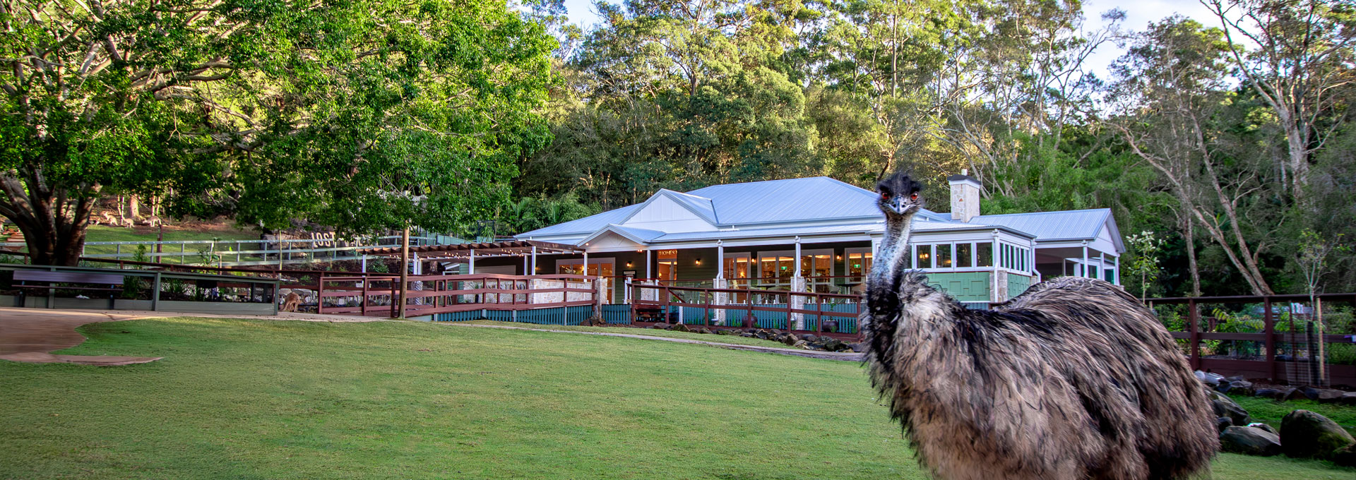 The Homestead - our premium wedding venue at Currumbin Wildlife Sanctuary