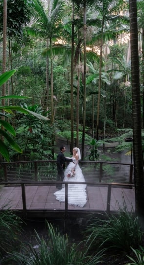 Couple in wedding attire standing on a wooden bridge in a lush tropical forest with tall palm trees and vibrant plants