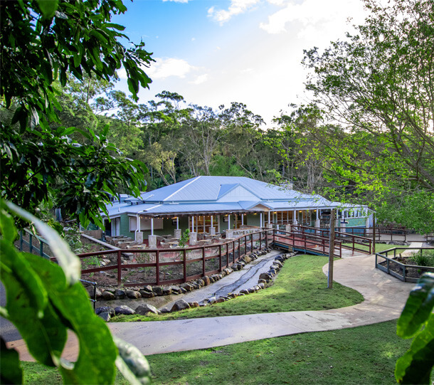 Single story building with light roof and large windows surrounded by trees and greenery with a paved path and wooden fence