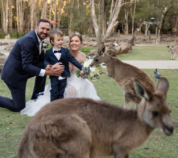 Bride and groom kneeling with a young boy in a garden, holding a bouquet, while kangaroos approach them.