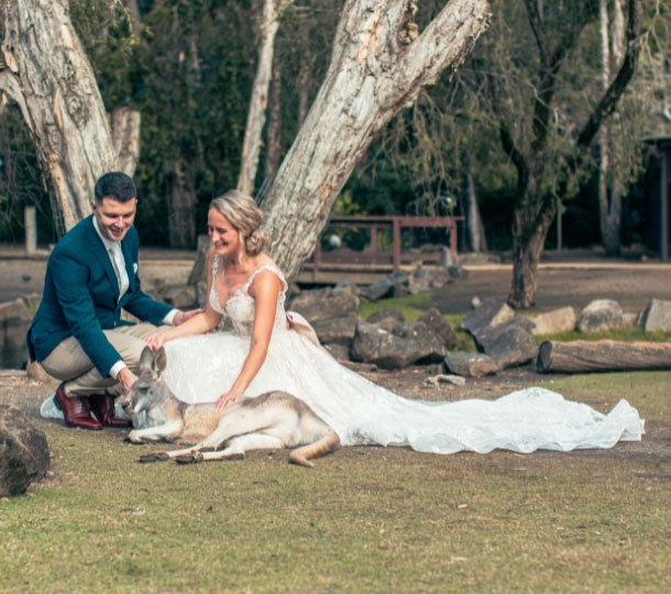Bride in white gown and groom in suit crouch and smile beside a resting kangaroo on grass under trees