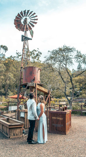 Bride and groom holding hands, viewed from behind, gazing up at a tall rustic windmill