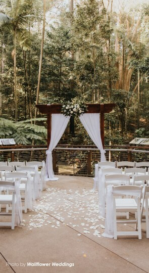 Wooden wedding arch draped with white curtains and flowers; aisle strewn with white rose petals and rows of white chairs