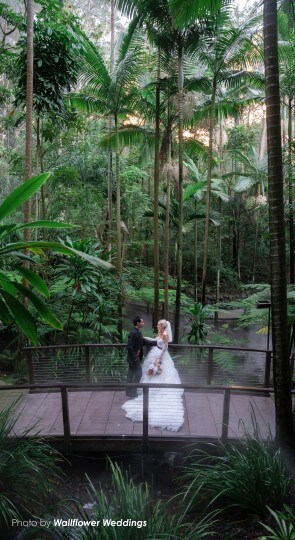 Bride and groom on a wooden bridge in a tropical rainforest of tall palms over flowing water