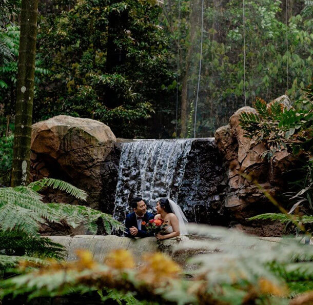 Wedding couple embracing in front of a waterfall surrounded by greenery.