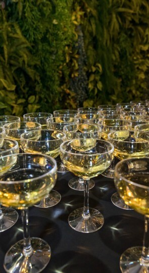 Rows of coupe glasses filled with white wine on a black table, green leafy wall in the background