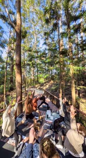 Group practicing yoga on a wooden platform in a tall forest, participants reaching upward toward blue sky (Lost Valley)