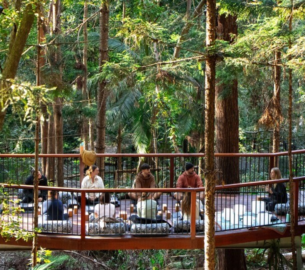 Outdoor yoga class on raised wooden deck in sunlit forest, participants seated on mats listening to an instructor.