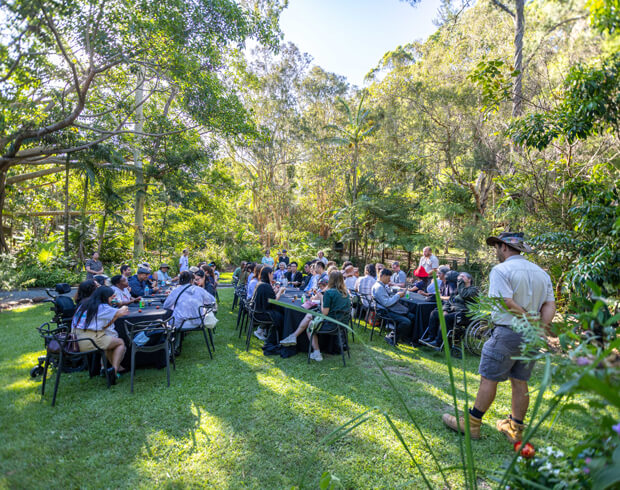 People sitting at tables outdoors in a forested area.