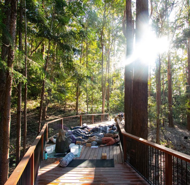 Outdoor yoga class on a wooden deck in a sunlit forest, students lying on mats resting while instructor sits at the head.