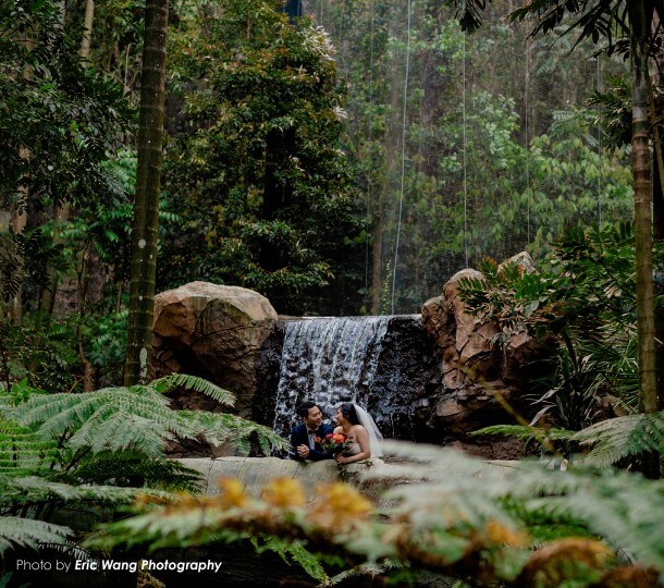 Bride and groom gaze at each other on a bridge in a tropical rainforest, a waterfall cascading over rocks behind them.