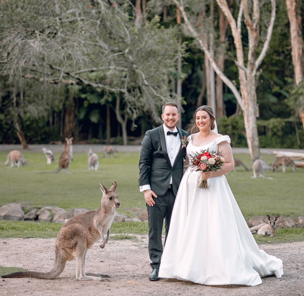 newly married couple take their photo with a kangaroo at Currumbin Wildlife Sanctuary