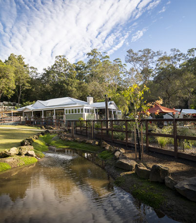 The Homestead, a hidden gem nestled in nature