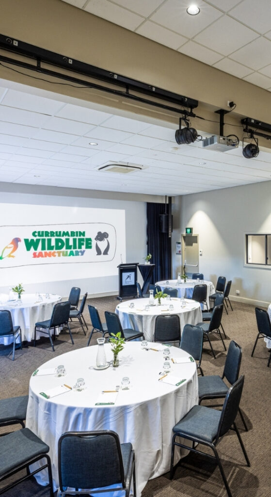 Indoor space with round tables covered by white table cloths and set up with pen paper and small native flower arrangements. The ball wall features a large projection screen