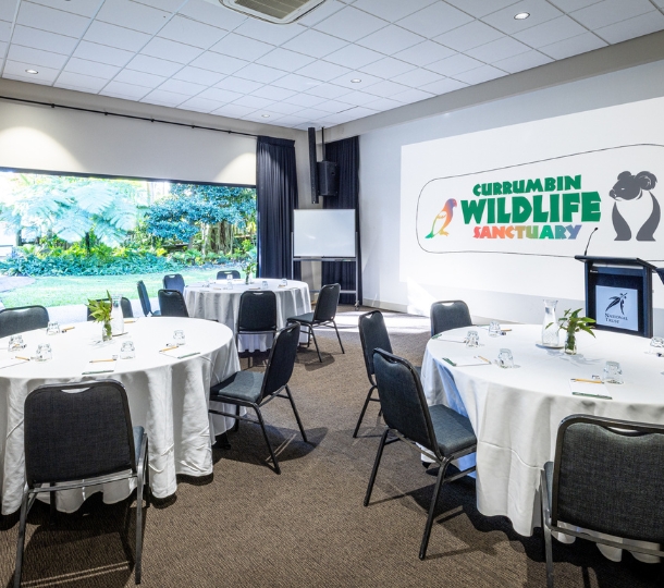 Indoor space with round tables covered by white table cloths and set up with pen paper and small native flower arrangements. The ball wall features a large projection screen and the venue is connected to a lush outdoor garden