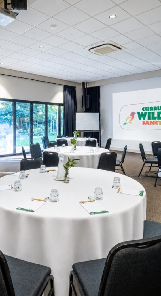 An indoor venue with round set tables and a large wall presentation screen with top to bottom large windows outlooking greenery