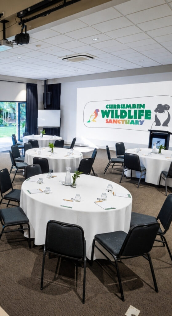 An indoor venue with round set tables and a large wall presentation screen with top to bottom large windows outlooking greenery