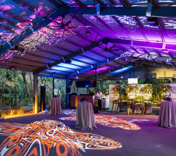Under cover outdoor event space at the Koala Habitat lit with colourful projections at night, Currumbin Wildlife Sanctuary